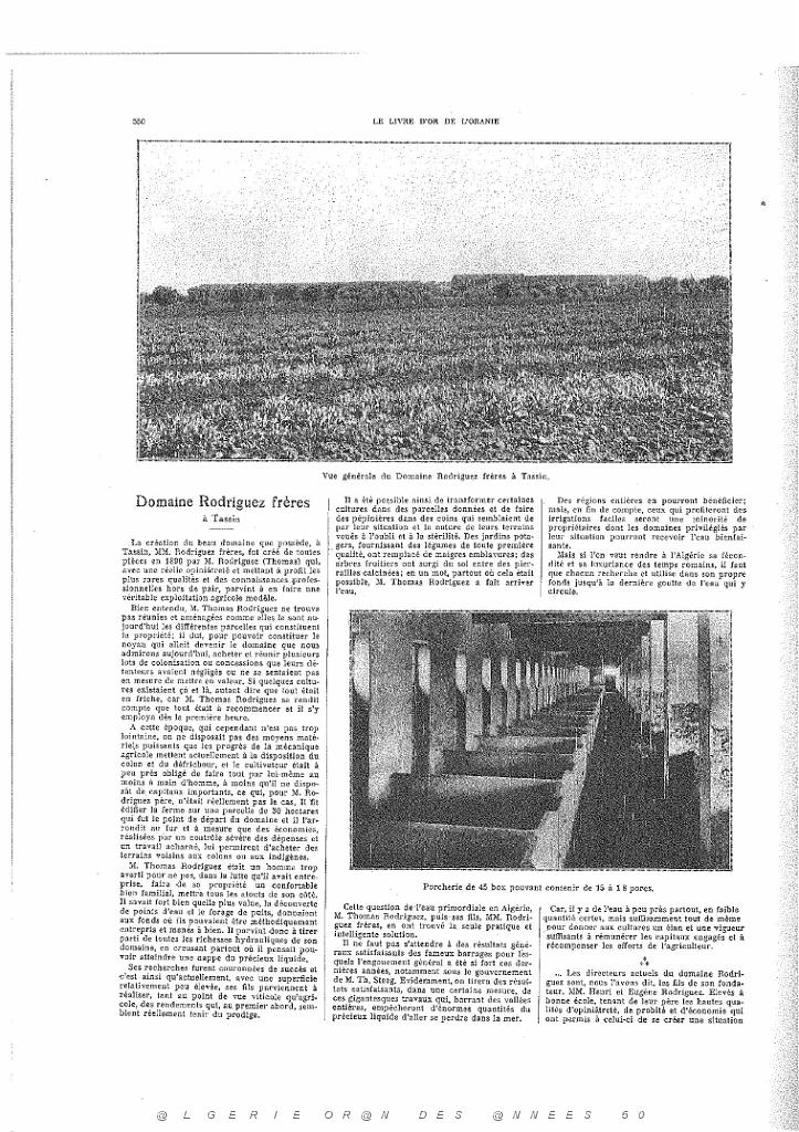 LIVRE D OR DE L ORANIE_000089.jpg